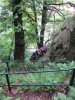 Thumbs/tn_FXCD0011.jpg